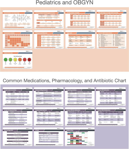 Scrubnotes Nursing - 56 Nursing Badge Reference Card Set