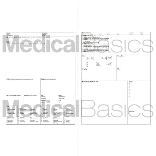 x20 H&P notebook Plus (Larger Print Edition) 8"x11"